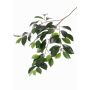 Kunst Ficus Microcarpa Zweig BHAO, 65cm