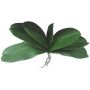 Künstliche Phalaenopsis Orchideenblätter PRIMALA, Luftwurzel, 21x29cm
