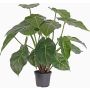 Kunstpflanze Syngonium PERAMI, grün, 45cm