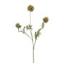 Dekozweig Stern Scabiosa RANIK, grün, 70cm