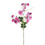 Künstlicher Zweig Lathyrus latifolius PLENVO, rosa, 75cm