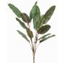 Künstliche Pflanze Calathea orbifolia FREMIX auf Steckstab, grün, 115cm