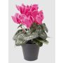 Alpenveilchen künstlich HEIDI im Dekotopf, pink, 25cm, Ø5-8cm