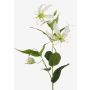 Kunstblume Gloriosa FUJITA, creme-grün, 80cm, Ø15cm