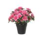Kunstblume Azalee SASIANA im Dekotopf, cerise, 28cm
