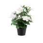 Kunstblume Azalee MASSIANA im Dekotopf, weiß, 25cm
