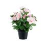 Kunstblume Azalee MASSIANA im Dekotopf, weiß-rosa, 25cm