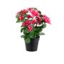 Kunstblume Azalee MASSIANA im Dekotopf, cerise, 25cm