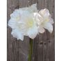 Kunst Amaryllis DAGGI, weiß, 70cm, Ø11-18cm