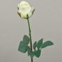 Kunst Rose SAPINA, creme-aprikose, 60cm, Ø6cm