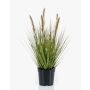 Deko Kunstgras Federborstengras YWAIN mit Rispen, beige-grün, 45cm