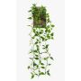 Künstliche Hängepflanze Philodendron scandens SAELFES auf Steckstab, 85cm
