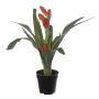 Künstliche Vriesea ARLENIA, rot, 60cm