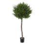 Deko Pflanze Zypressen Kugel ADISA, Naturstamm, grün, 110cm