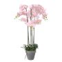 Kunstblume Phalaenopsis Orchidee DANTINA, Wurzeln, Dekotopf, rosa, 115cm