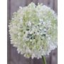 Künstlicher Allium HELLA, Glitzer, creme-grün, 75cm, Ø11cm