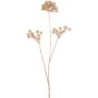 Künstlicher Zweig Wilde Möhre ZAHLERY, gold, 85cm