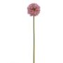 Kunstblume Allium DEYANIA, lila, 55cm