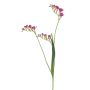 Kunstzweig Freesie VILLIER, cerise-creme, 80cm