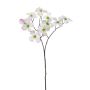 Kunstzweig Hartriegel FANSIAM mit Blüten, creme-rosa, 70cm