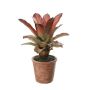 Kunstblume Guzmania TAVERIA im Dekotopf, dunkelrot, 40cm