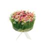 Künstliches Blumengesteck Margeriten, Gras HAULANI, rosa-weiß, 12cm, Ø20cm