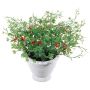 Kunstblume Bauhinia INAVIA im Dekotopf, rot, 17cm