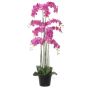 Kunstblume Phalaenopsis Orchidee FIENSINA, Wurzeln, Dekotopf, cerise, 150cm