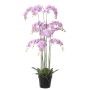 Kunstblume Phalaenopsis Orchidee FIENSINA, Wurzeln, Dekotopf, lila, 150cm