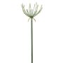 Kunstblume Agapanthus SEIVANA, weiß, 80cm