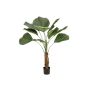 Kunstpalme Strahlenpalme LIAMARA, schwer brennbar, 140cm