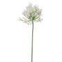 Kunstblume Agapanthus NIAMARA, creme, 75cm