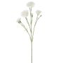 Dekozweig Nelke ETIMIANA, creme, 60cm