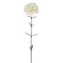 Kunstblume Nelke ENILIANA, creme, 65cm