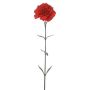 Kunstblume Nelke ENILIANA, rot, 65cm