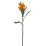 Kunstblume Roter Ingwer FALVENIA, orange, 50cm