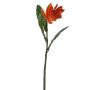 Kunstblume Roter Ingwer FALVENIA, dunkelorange, 50cm