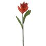 Kunstblume Roter Ingwer FALVENIA, rot, 50cm