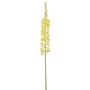Dekoblume Steppenkerze ELINARY, gelb, 80cm
