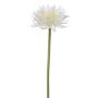 Kunstblume Gerbera YORUMA, creme, 50cm