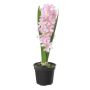 Textilblume Hyazinthe SILAINA, rosa, 20cm