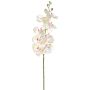 Kunstblume Phalaenopsis Orchidee POLDINA, hellgrün-rosa, 90cm