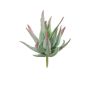Künstliche Agave decipiens KIANE, Steckstab, grün-grau-rot, 10cm