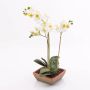 Kunst Phalaenopsis Orchidee MINA im Terracotta Topf, weiß, 55cm