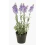 Kunst Lavendel LOUISE im Dekotopf, hellviolett, 30cm, Ø3cm