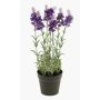 Kunst Lavendel LOUISE im Dekotopf, dunkelviolett, 30cm, Ø3cm