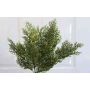 Künstlicher Thuja Busch PASCAL auf Steckstab, grün, 35cm