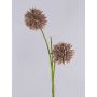 Kunststoffschaum Allium Zweig künstlich CHIRARA, braun, 90cm, Ø10cm