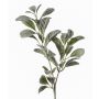 Künstlicher Wollziest Zweig LEVIN, grau-grün, 70cm