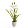 Kunstpflanze Cymbidium Orchidee NALA im Terracotta Topf, creme, 50cm